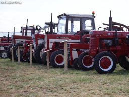 ws 131
